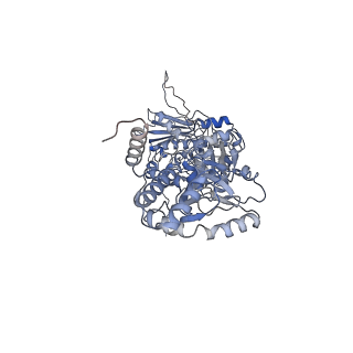14883_7zr5_A_v1-1
CryoEM structure of HSP90-CDC37-BRAF(V600E)-PP5(closed) complex