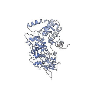 14883_7zr5_B_v1-1
CryoEM structure of HSP90-CDC37-BRAF(V600E)-PP5(closed) complex