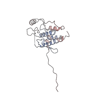 14883_7zr5_K_v1-1
CryoEM structure of HSP90-CDC37-BRAF(V600E)-PP5(closed) complex