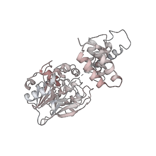 14883_7zr5_P_v1-1
CryoEM structure of HSP90-CDC37-BRAF(V600E)-PP5(closed) complex