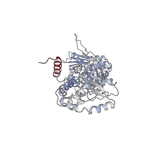 14884_7zr6_A_v1-0
CryoEM structure of HSP90-CDC37-BRAF(V600E)-PP5(open) complex