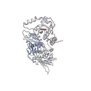 14884_7zr6_B_v1-0
CryoEM structure of HSP90-CDC37-BRAF(V600E)-PP5(open) complex