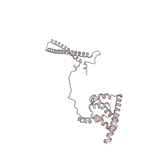 14884_7zr6_C_v1-0
CryoEM structure of HSP90-CDC37-BRAF(V600E)-PP5(open) complex