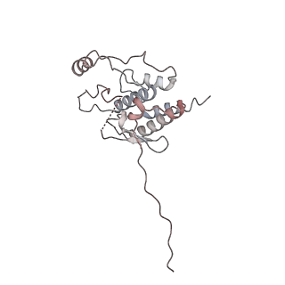 14884_7zr6_K_v1-0
CryoEM structure of HSP90-CDC37-BRAF(V600E)-PP5(open) complex