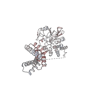 14884_7zr6_P_v1-0
CryoEM structure of HSP90-CDC37-BRAF(V600E)-PP5(open) complex
