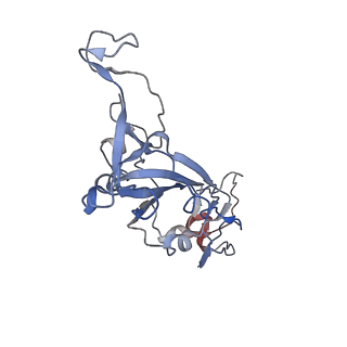 14886_7zr8_A_v1-2
OMI-38 FAB IN COMPLEX WITH SARS-COV-2 BETA SPIKE RBD (local refinement)