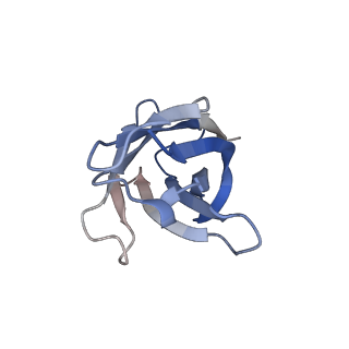 14886_7zr8_H_v1-2
OMI-38 FAB IN COMPLEX WITH SARS-COV-2 BETA SPIKE RBD (local refinement)