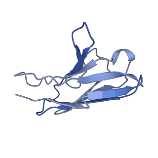 14886_7zr8_L_v1-2
OMI-38 FAB IN COMPLEX WITH SARS-COV-2 BETA SPIKE RBD (local refinement)