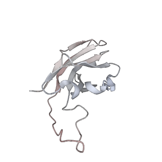 14887_7zr9_D_v1-2
OMI-2 FAB IN COMPLEX WITH SARS-COV-2 BETA SPIKE GLYCOPROTEIN