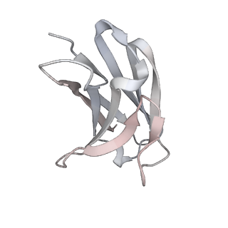 14887_7zr9_G_v1-2
OMI-2 FAB IN COMPLEX WITH SARS-COV-2 BETA SPIKE GLYCOPROTEIN