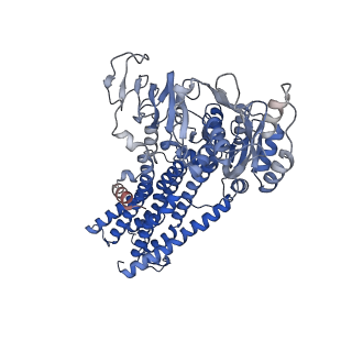 14912_7zre_B_v1-0
Cryo-EM map of the WT KdpFABC complex in the E1-P tight conformation, under turnover conditions