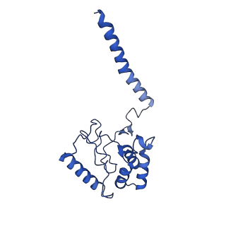 14912_7zre_C_v1-0
Cryo-EM map of the WT KdpFABC complex in the E1-P tight conformation, under turnover conditions