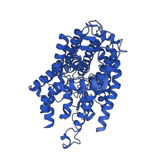14914_7zrh_A_v1-0
Cryo-EM structure of the KdpFABC complex in a nucleotide-free E1 conformation loaded with K+