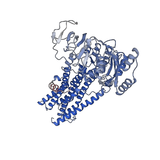 14914_7zrh_B_v1-0
Cryo-EM structure of the KdpFABC complex in a nucleotide-free E1 conformation loaded with K+
