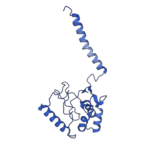 14914_7zrh_C_v1-0
Cryo-EM structure of the KdpFABC complex in a nucleotide-free E1 conformation loaded with K+