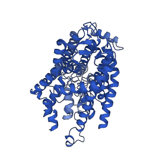 14915_7zri_A_v1-0
Cryo-EM structure of the KdpFABC complex in a nucleotide-free E1 conformation loaded with K+