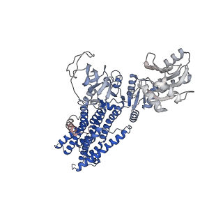 14915_7zri_B_v1-0
Cryo-EM structure of the KdpFABC complex in a nucleotide-free E1 conformation loaded with K+