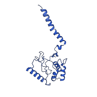 14915_7zri_C_v1-0
Cryo-EM structure of the KdpFABC complex in a nucleotide-free E1 conformation loaded with K+