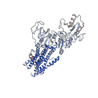 14916_7zrj_B_v1-0
Cryo-EM structure of the KdpFABC complex in a nucleotide-free E1 conformation loaded with K+