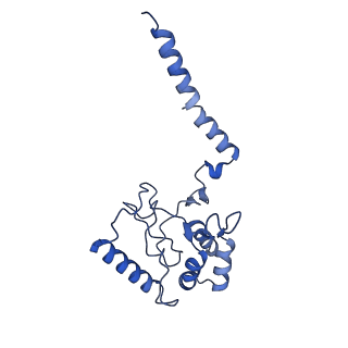 14916_7zrj_C_v1-0
Cryo-EM structure of the KdpFABC complex in a nucleotide-free E1 conformation loaded with K+
