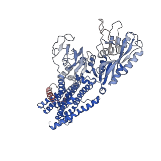 14917_7zrk_B_v1-0
Cryo-EM map of the WT KdpFABC complex in the E1-P_ADP conformation, under turnover conditions