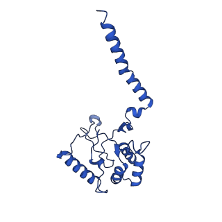 14917_7zrk_C_v1-0
Cryo-EM map of the WT KdpFABC complex in the E1-P_ADP conformation, under turnover conditions
