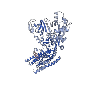 14918_7zrl_B_v1-0
Cryo-EM map of the unphosphorylated KdpFABC complex in the E2-P conformation, under turnover conditions