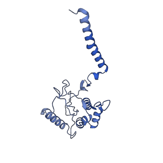 14918_7zrl_C_v1-0
Cryo-EM map of the unphosphorylated KdpFABC complex in the E2-P conformation, under turnover conditions