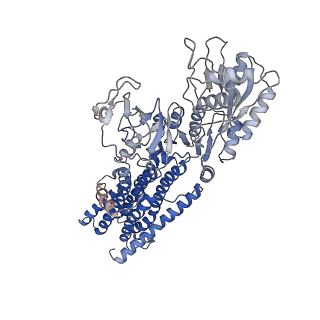 14919_7zrm_B_v1-0
Cryo-EM map of the unphosphorylated KdpFABC complex in the E1-P_ADP conformation, under turnover conditions