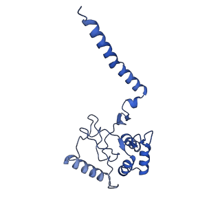 14919_7zrm_C_v1-0
Cryo-EM map of the unphosphorylated KdpFABC complex in the E1-P_ADP conformation, under turnover conditions