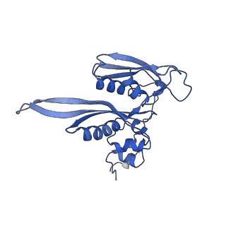 14921_7zrs_AC_v1-1
Structure of the RQT-bound 80S ribosome from S. cerevisiae (C2) - composite map