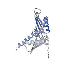 14921_7zrs_AD_v1-1
Structure of the RQT-bound 80S ribosome from S. cerevisiae (C2) - composite map