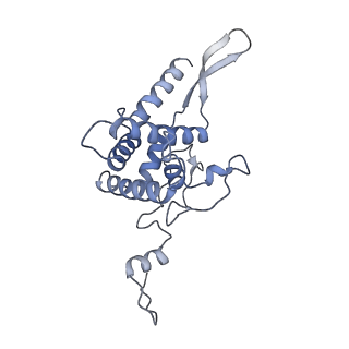 14921_7zrs_AF_v1-1
Structure of the RQT-bound 80S ribosome from S. cerevisiae (C2) - composite map