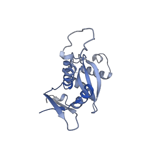 14921_7zrs_AH_v1-1
Structure of the RQT-bound 80S ribosome from S. cerevisiae (C2) - composite map