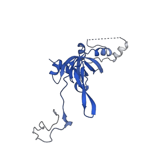 14921_7zrs_AI_v1-1
Structure of the RQT-bound 80S ribosome from S. cerevisiae (C2) - composite map