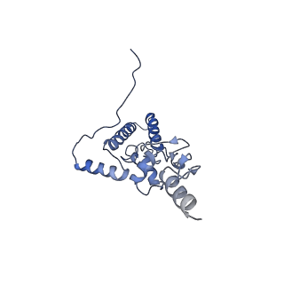14921_7zrs_AJ_v1-1
Structure of the RQT-bound 80S ribosome from S. cerevisiae (C2) - composite map