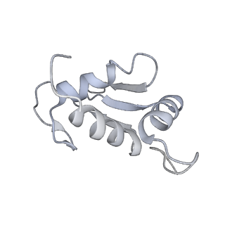 14921_7zrs_AK_v1-1
Structure of the RQT-bound 80S ribosome from S. cerevisiae (C2) - composite map