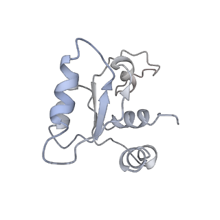 14921_7zrs_AM_v1-1
Structure of the RQT-bound 80S ribosome from S. cerevisiae (C2) - composite map