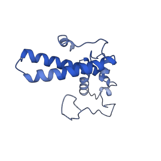 14921_7zrs_AN_v1-1
Structure of the RQT-bound 80S ribosome from S. cerevisiae (C2) - composite map