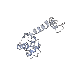 14921_7zrs_AS_v1-1
Structure of the RQT-bound 80S ribosome from S. cerevisiae (C2) - composite map