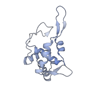 14921_7zrs_AT_v1-1
Structure of the RQT-bound 80S ribosome from S. cerevisiae (C2) - composite map
