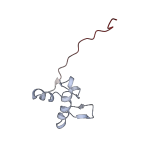 14921_7zrs_AZ_v1-1
Structure of the RQT-bound 80S ribosome from S. cerevisiae (C2) - composite map