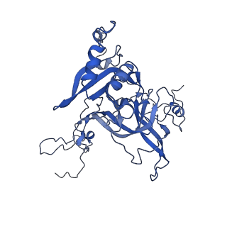 14921_7zrs_BB_v1-1
Structure of the RQT-bound 80S ribosome from S. cerevisiae (C2) - composite map