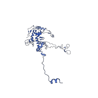 14921_7zrs_BC_v1-1
Structure of the RQT-bound 80S ribosome from S. cerevisiae (C2) - composite map