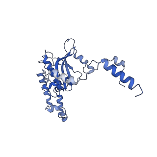 14921_7zrs_BD_v1-1
Structure of the RQT-bound 80S ribosome from S. cerevisiae (C2) - composite map
