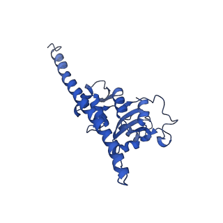 14921_7zrs_BF_v1-1
Structure of the RQT-bound 80S ribosome from S. cerevisiae (C2) - composite map