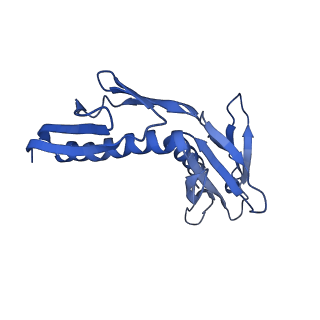 14921_7zrs_BH_v1-1
Structure of the RQT-bound 80S ribosome from S. cerevisiae (C2) - composite map