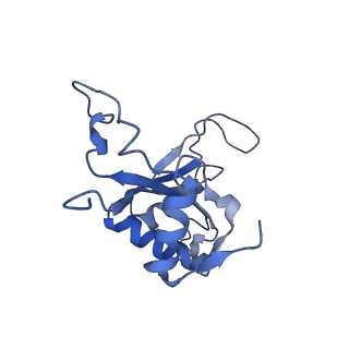 14921_7zrs_BJ_v1-1
Structure of the RQT-bound 80S ribosome from S. cerevisiae (C2) - composite map