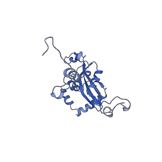 14921_7zrs_BM_v1-1
Structure of the RQT-bound 80S ribosome from S. cerevisiae (C2) - composite map