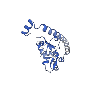 14921_7zrs_BN_v1-1
Structure of the RQT-bound 80S ribosome from S. cerevisiae (C2) - composite map